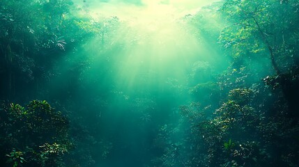 Fototapeta premium Serene Forest Landscape with Sunlight Rays and Misty Atmosphere