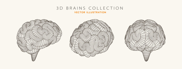 3D Wireframe Brain Collection Featuring Human Brain Models in Scientific and Futuristic Style. Perfect for Medical, AI, and Technology Themes. Vector Illustration. © Oleg