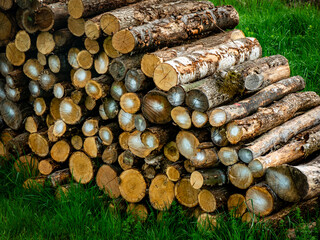 Brennholz Lager auf einer Wiese im Frühjahr © focus finder
