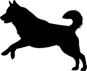 Cute dog posing on a white background. Friendly and loyal pet perfect for animal-related projects, pet care ads, veterinary services, dog training, companionship themes, and family lifestyle visuals.