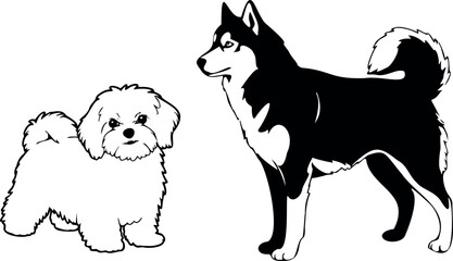 Cute dog posing on a white background. Friendly and loyal pet perfect for animal-related projects, pet care ads, veterinary services, dog training, companionship themes, and family lifestyle visuals.