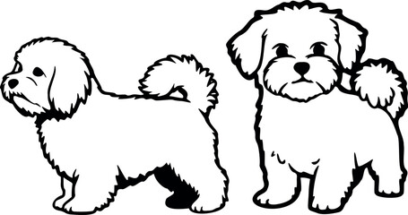 Cute dog posing on a white background. Friendly and loyal pet perfect for animal-related projects, pet care ads, veterinary services, dog training, companionship themes, and family lifestyle visuals.