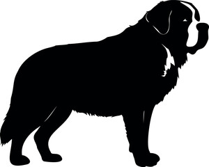 Cute dog posing on a white background. Friendly and loyal pet perfect for animal-related projects, pet care ads, veterinary services, dog training, companionship themes, and family lifestyle visuals.