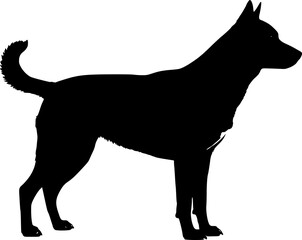 Cute dog posing on a white background. Friendly and loyal pet perfect for animal-related projects, pet care ads, veterinary services, dog training, companionship themes, and family lifestyle visuals.