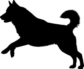 Cute dog posing on a white background. Friendly and loyal pet perfect for animal-related projects, pet care ads, veterinary services, dog training, companionship themes, and family lifestyle visuals.