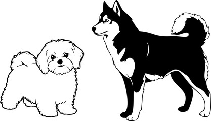 Cute dog posing on a white background. Friendly and loyal pet perfect for animal-related projects, pet care ads, veterinary services, dog training, companionship themes, and family lifestyle visuals.