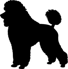 Cute dog posing on a white background. Friendly and loyal pet perfect for animal-related projects, pet care ads, veterinary services, dog training, companionship themes, and family lifestyle visuals.