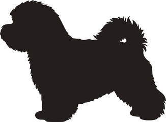 Cute dog posing on a white background. Friendly and loyal pet perfect for animal-related projects, pet care ads, veterinary services, dog training, companionship themes, and family lifestyle visuals.