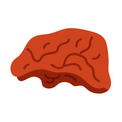 Liver Flat Vector Illustration on Black Background