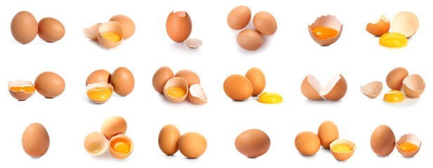Group of raw chicken eggs on white background