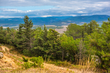 Mountain landscape of Crimea with a view of a valley covered with coniferous and deciduous forest. In the foreground is a country path among dry grass and pine trees 