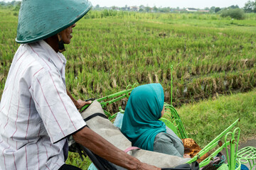 Cycle rickshaw driver giving ride to passenger through rice paddies in java