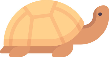 turtle illustration on a white background     