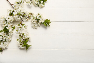Beautiful blossoming branches on white wooden background