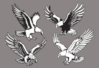 eagle collection in black and white vector format very easy to edit