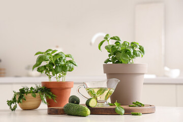 Basil plants with cucumbers and oil on table in kitchen