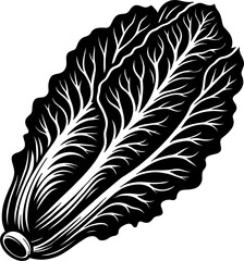 Obraz premium Cabbage silhouette