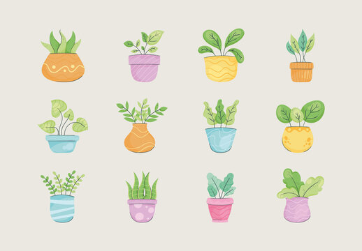 Colorful Decorative Indoor Houseplants Illustration Design Set