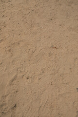 footprints, sneaker, shoe prints in the sand at public park