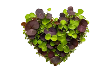 Illustration of a Heart Shape Made Of Green And Red Leaves on Transparent Background