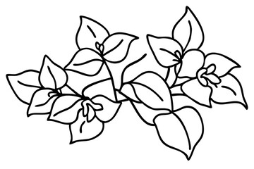 Fototapeta premium Bougainvillea Line Art, Elegant Floral Illustration, Minimalist Bougainvillea Drawing