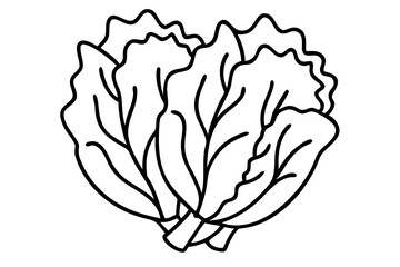 Chicory Line Art, Elegant Floral Illustration, Minimalist Chicory Drawing, Botanical Flower Sketch