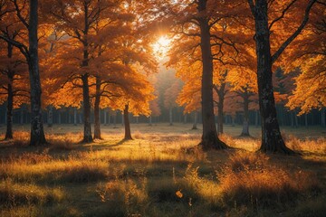 Obraz premium Breathtaking Autumn Forest View with Sunlight and Vibrant Green Trees