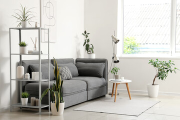 Interior of modern stylish living room with sofa, shelving unit and different houseplants
