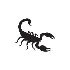 scorpion on white background