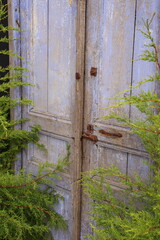 blue wooden doors