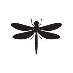 dragonfly isolated on white