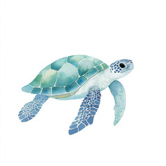 Fototapeta premium Colorful watercolor illustration of a sea turtle swimming peacefully in a coral reef environment during daylight