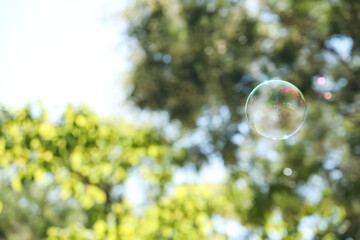 Beautiful soap bubbles floating in park