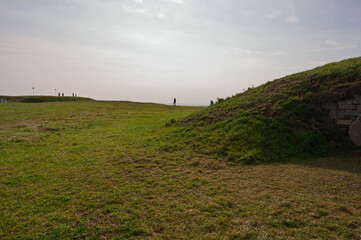 A grassy hillside with a person standing on it