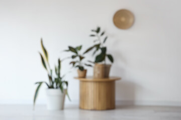 Blurred view of wooden table with green plants near light wall in room