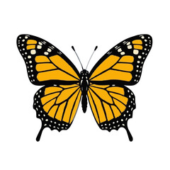 Fototapeta premium Monarch Butterfly, Black and White Line Art