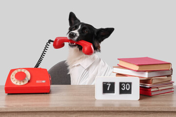 Cute Border Collie dog with telephone and clock at table on light background. Time management...