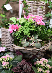 flower basket 