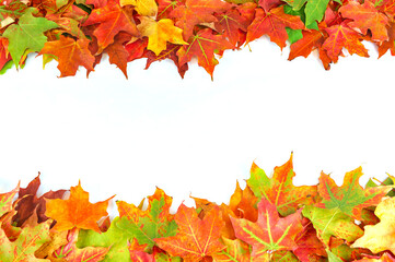 Fototapeta premium autumn leaves frame with blank copy space