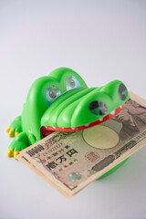 お金に執着しているワニ ビジネス 貯金 