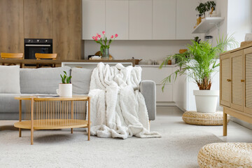 Interior of modern studio apartment with sofa and kitchen counters