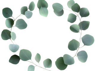 Eucalyptus Leaves Floral Wreath Green Foliage Isolated Transparent PNG Illustration