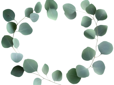 Eucalyptus Leaves Floral Wreath Green Foliage Isolated Transparent PNG Illustration