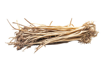 A bundle of dried garlic scapes with roots and stems lying horizontally on a black background