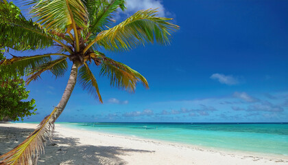A tall palm tree casts a shadow over the soft white sand as gentle waves meet the turquoise sea beneath a vibrant blue sky filled with scattered clouds.