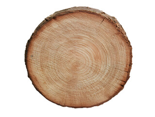 Isolated Brown Wood Slice Texture with Grain Details Photo