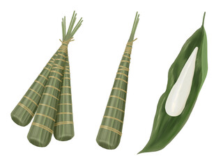 端午の節句（こどもの日）に食べる縁起物、笹の葉で包まれたちまき（茅巻き）と、笹の葉を開いた状態のちまきのイラスト素材セット