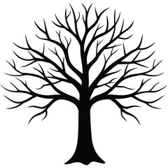 Obraz premium Silhouette of Bare Tree with Intricate Branches on Transparent Background