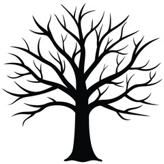 Silhouette Tree Isolated on White, Leafless Bare Branches Symbol