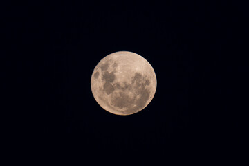 Fototapeta premium Full Moon Rising at the Waterfront